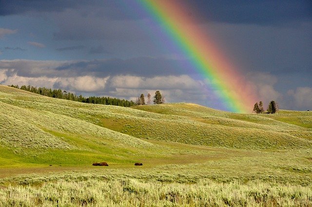 Ein Regenbogen ist ein mehrfarbiger Bogen, der durch das Auftreffen von Licht auf Wasser entsteht.